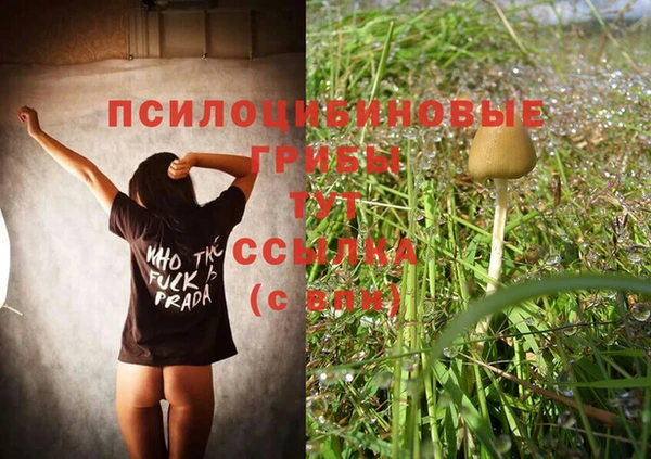 скорость Абаза