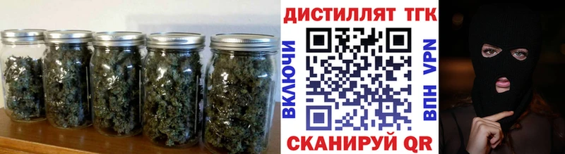 ссылка на мегу Ильский ТГК концентрат