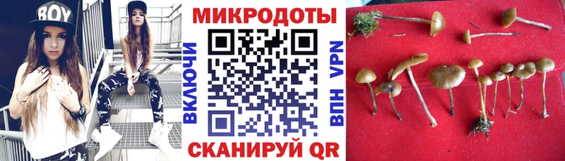 Псилоцибиновые грибы Psilocybine cubensis Ильский